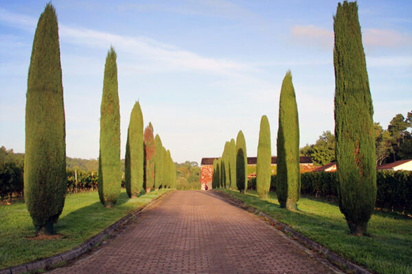 Château Hostens Picant